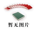 第三屆IEEE電氣材料與電力設(shè)備國際會議在重慶大學(xué)成功舉行